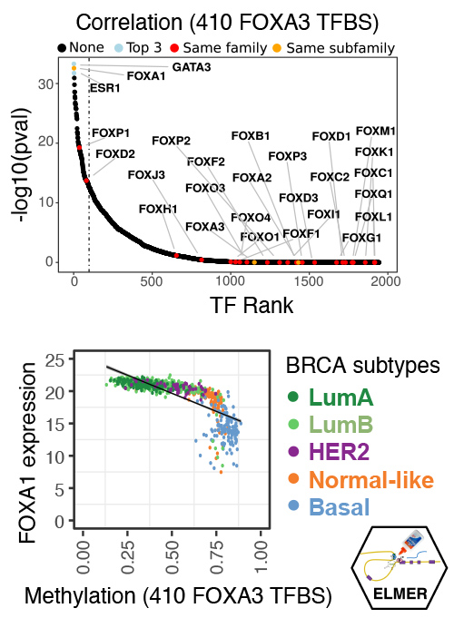 Reconstructing altered transcription factor networks from chromatin changes at cis-regulatory elements