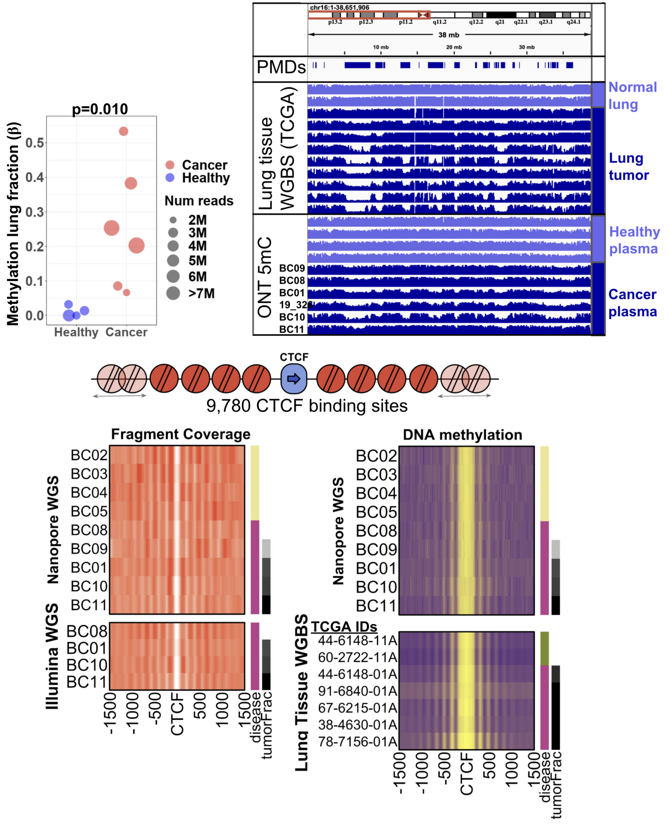 Characterizing tumor DNA in circulation using Oxford Nanopore sequencing